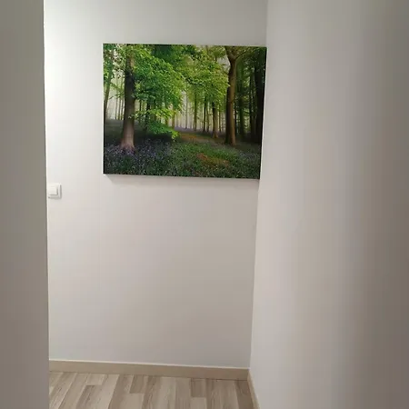 Apartament Confort I La Seu d'Urgell